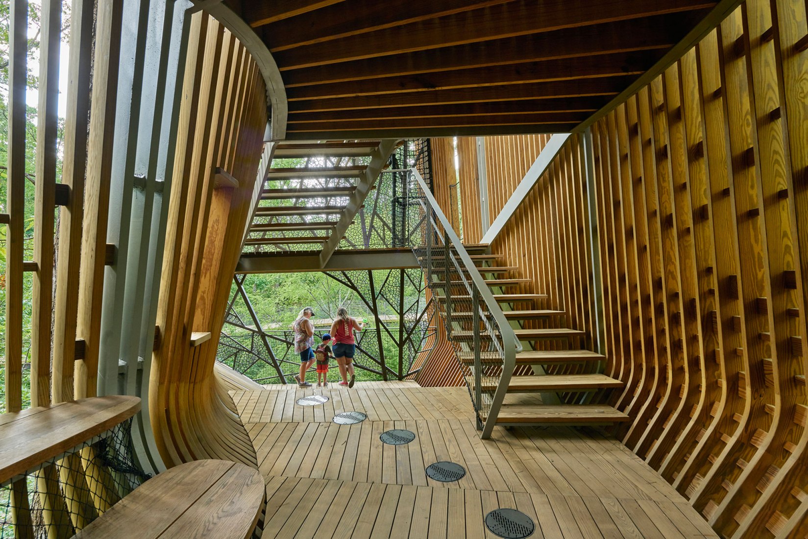 La Casa del Árbol Evans en el Bosque de los Jardines de Garvan por modus studio y la Universidad de Arkansas. Fotografía por Timothy Hursley.