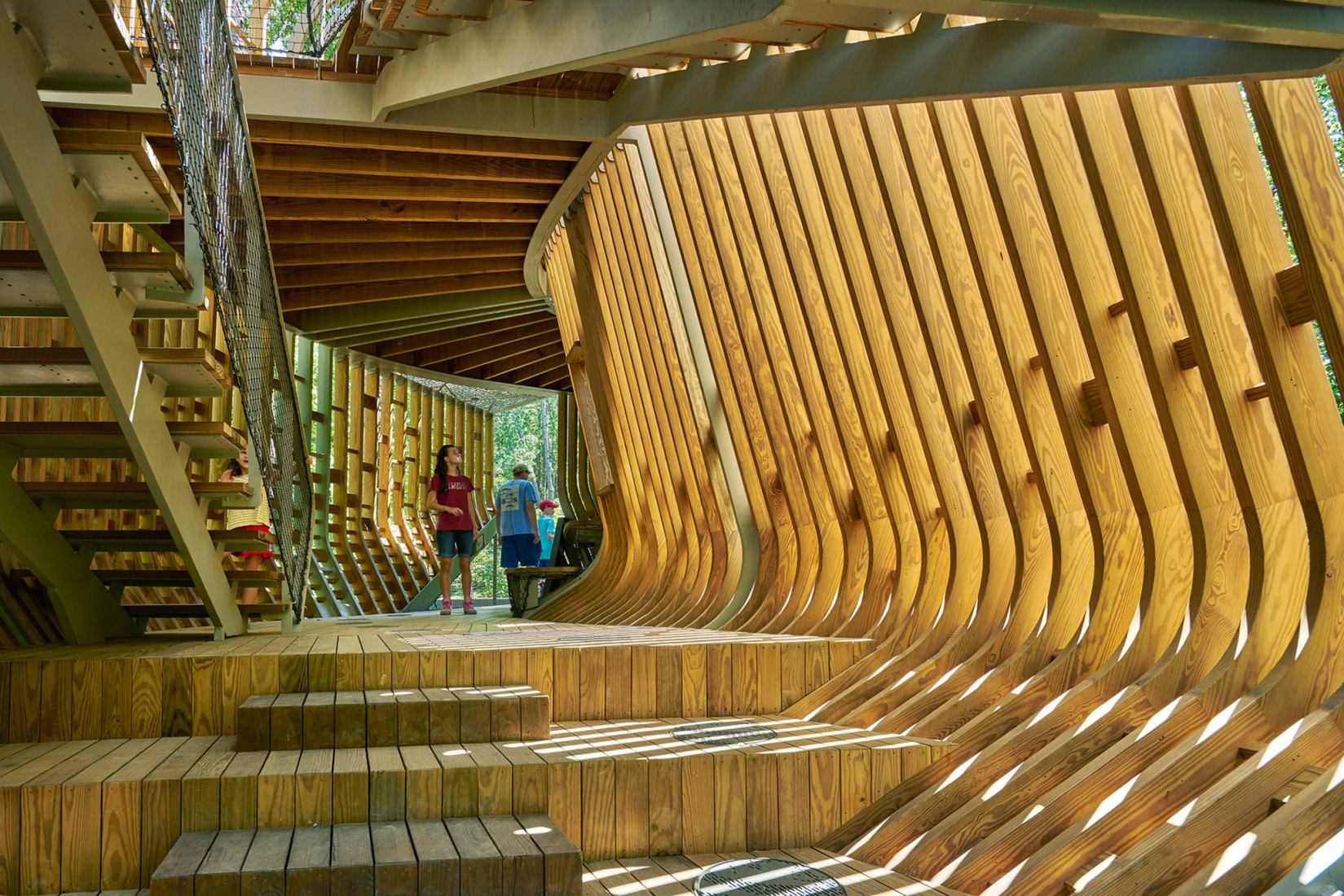 La Casa del Árbol Evans en el Bosque de los Jardines de Garvan por modus studio y la Universidad de Arkansas. Fotografía por Timothy Hursley.