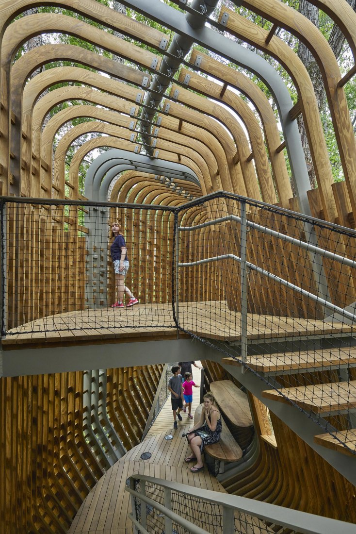La Casa del Árbol Evans en el Bosque de los Jardines de Garvan por modus studio y la Universidad de Arkansas. Fotografía por Timothy Hursley.