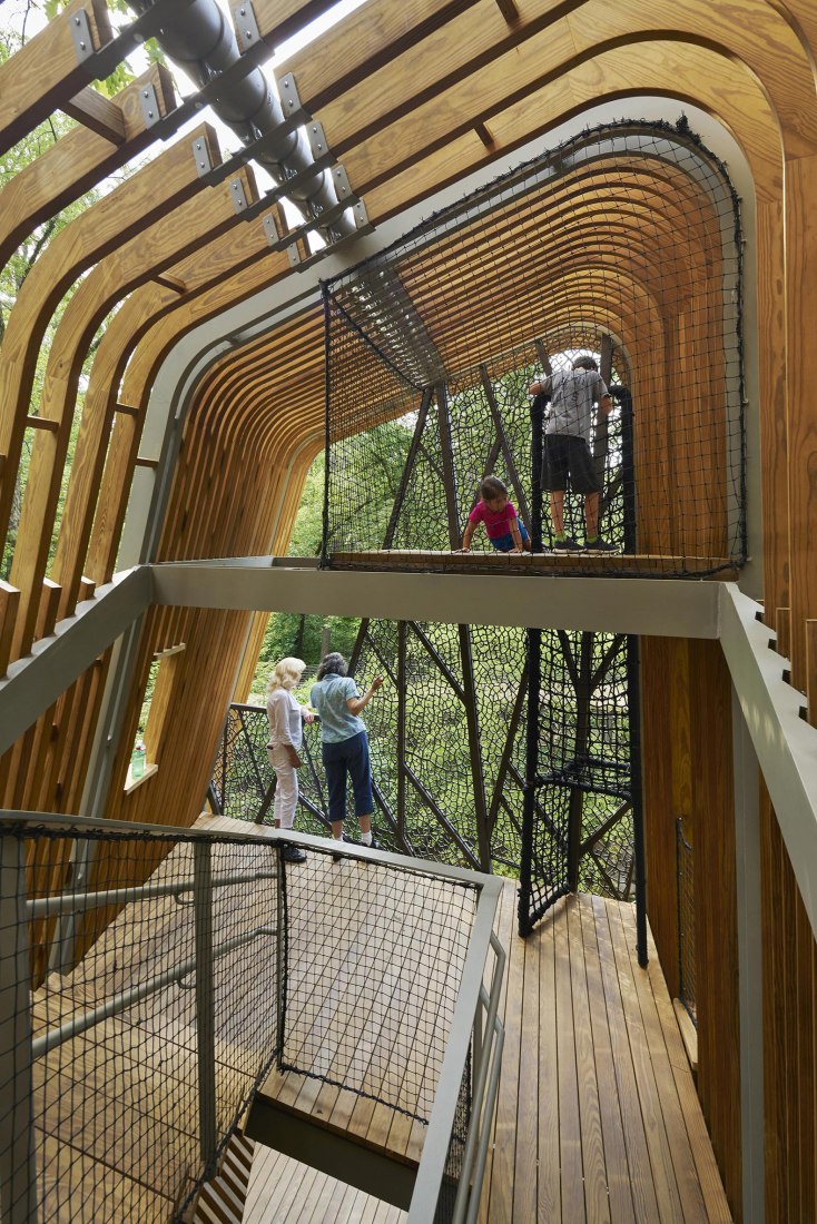 La Casa del Árbol Evans en el Bosque de los Jardines de Garvan por modus studio y la Universidad de Arkansas. Fotografía por Timothy Hursley.