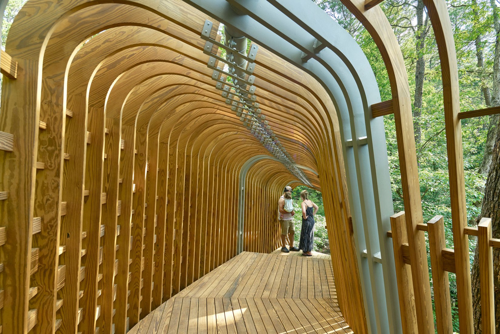 La Casa del Árbol Evans en el Bosque de los Jardines de Garvan por modus studio y la Universidad de Arkansas. Fotografía por Timothy Hursley.