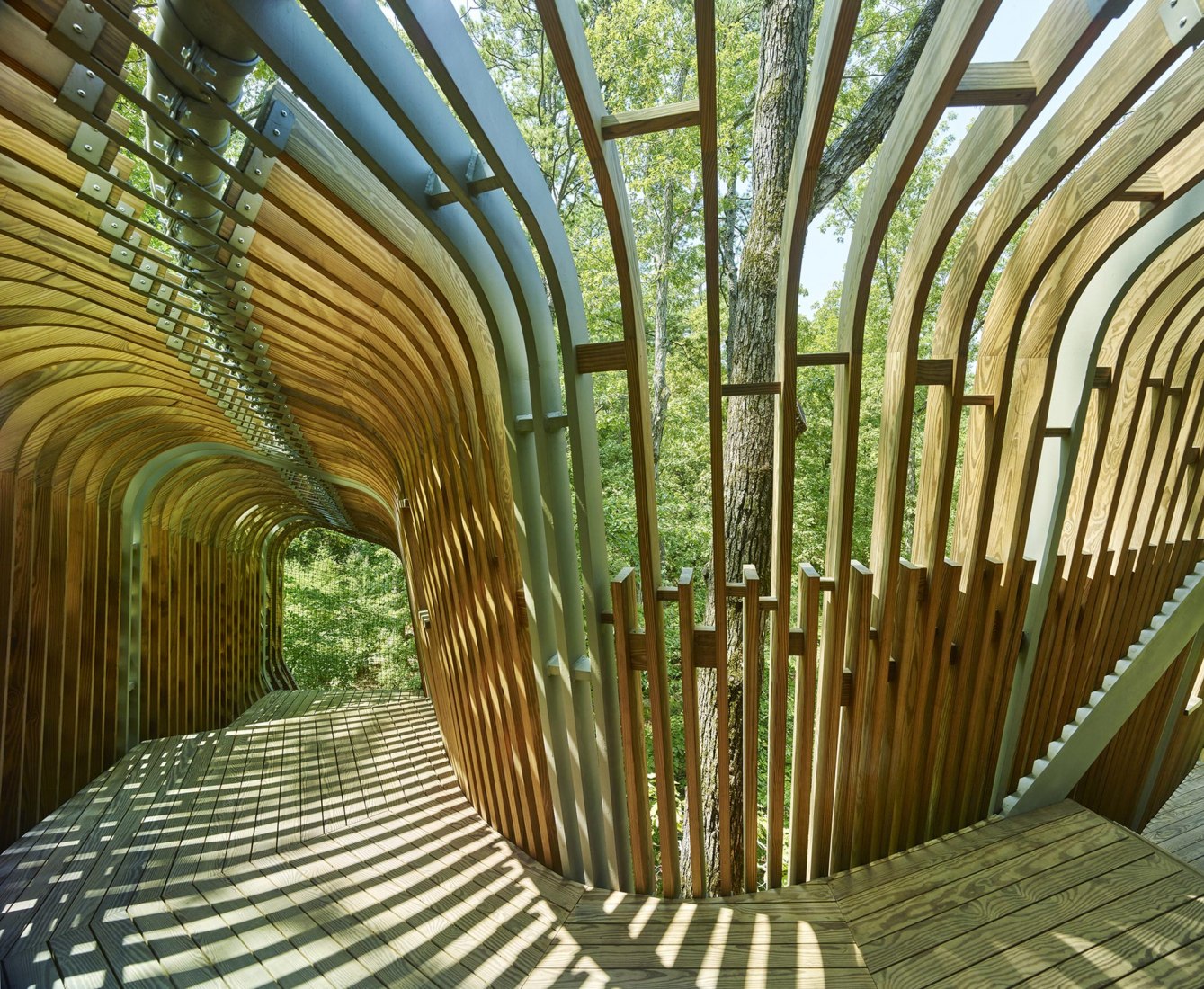 La Casa del Árbol Evans en el Bosque de los Jardines de Garvan por modus studio y la Universidad de Arkansas. Fotografía por Timothy Hursley.