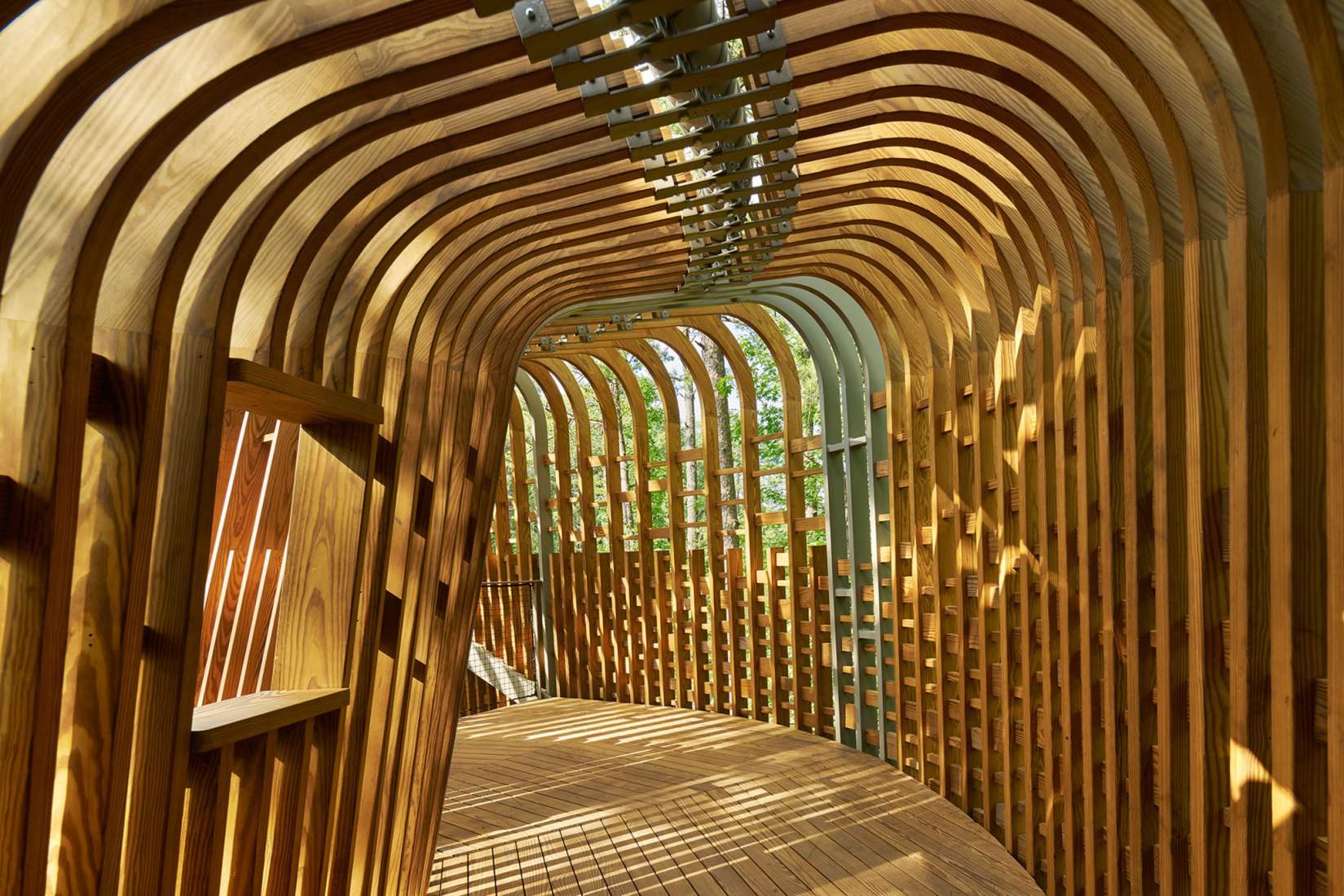 La Casa del Árbol Evans en el Bosque de los Jardines de Garvan por modus studio y la Universidad de Arkansas. Fotografía por Timothy Hursley.