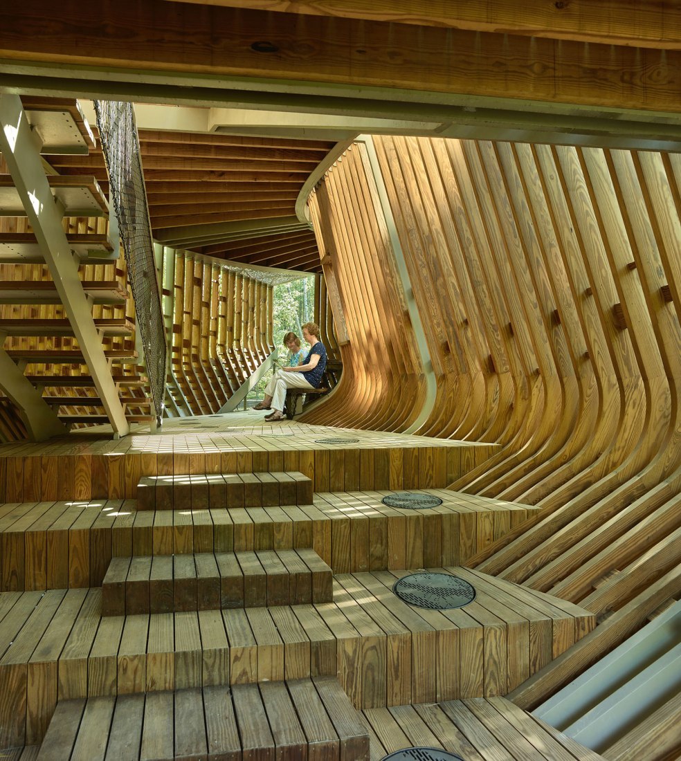 La Casa del Árbol Evans en el Bosque de los Jardines de Garvan por modus studio y la Universidad de Arkansas. Fotografía por Timothy Hursley.