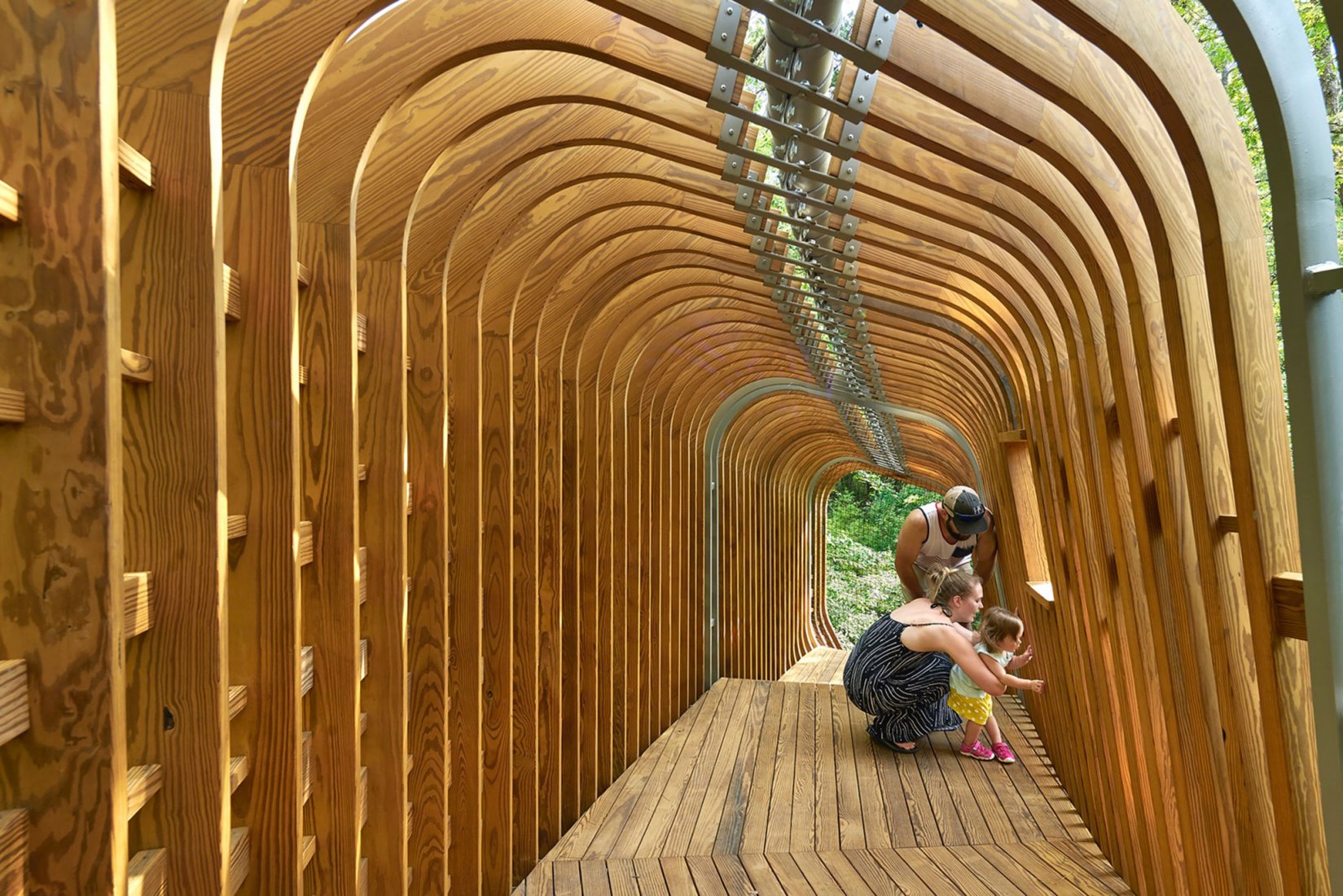La Casa del Árbol Evans en el Bosque de los Jardines de Garvan por modus studio y la Universidad de Arkansas. Fotografía por Timothy Hursley.