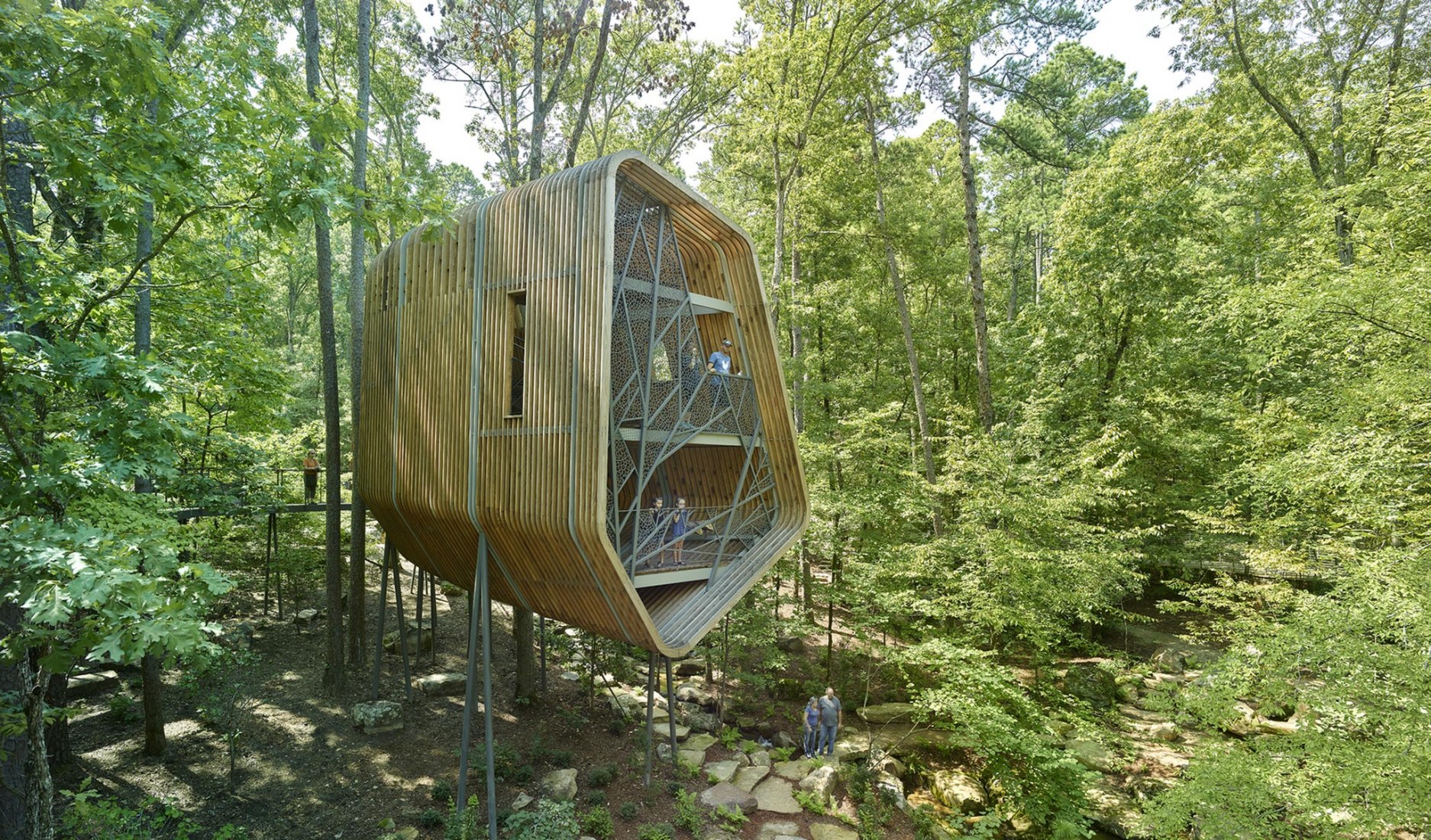 La Casa del Árbol Evans en el Bosque de los Jardines de Garvan por modus studio y la Universidad de Arkansas. Fotografía por Timothy Hursley.