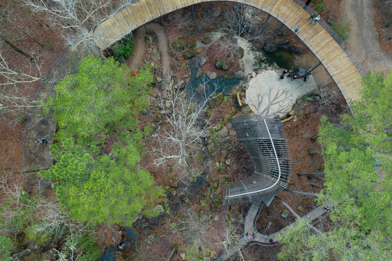 La Casa del Árbol Evans en el Bosque de los Jardines de Garvan por modus studio y la Universidad de Arkansas. Fotografía por Timothy Hursley.
