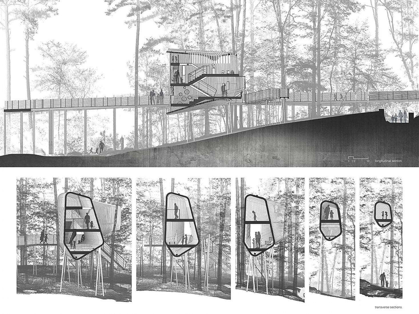 Secciones. La Casa del Árbol Evans en el Bosque de los Jardines de Garvan por modus studio y la Universidad de Arkansas.