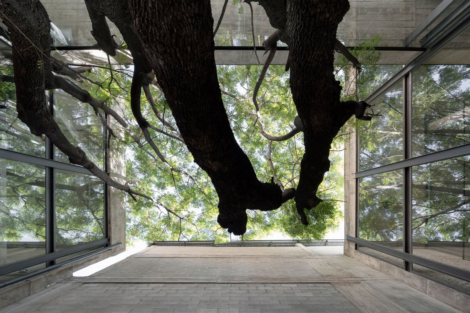 New College of Architects of Córdoba headquarters by Adolfo Mondejar, Pablo Mondejar, Dolores Gómez Macedo Arquitectos. Photograph by Federico Cairoli