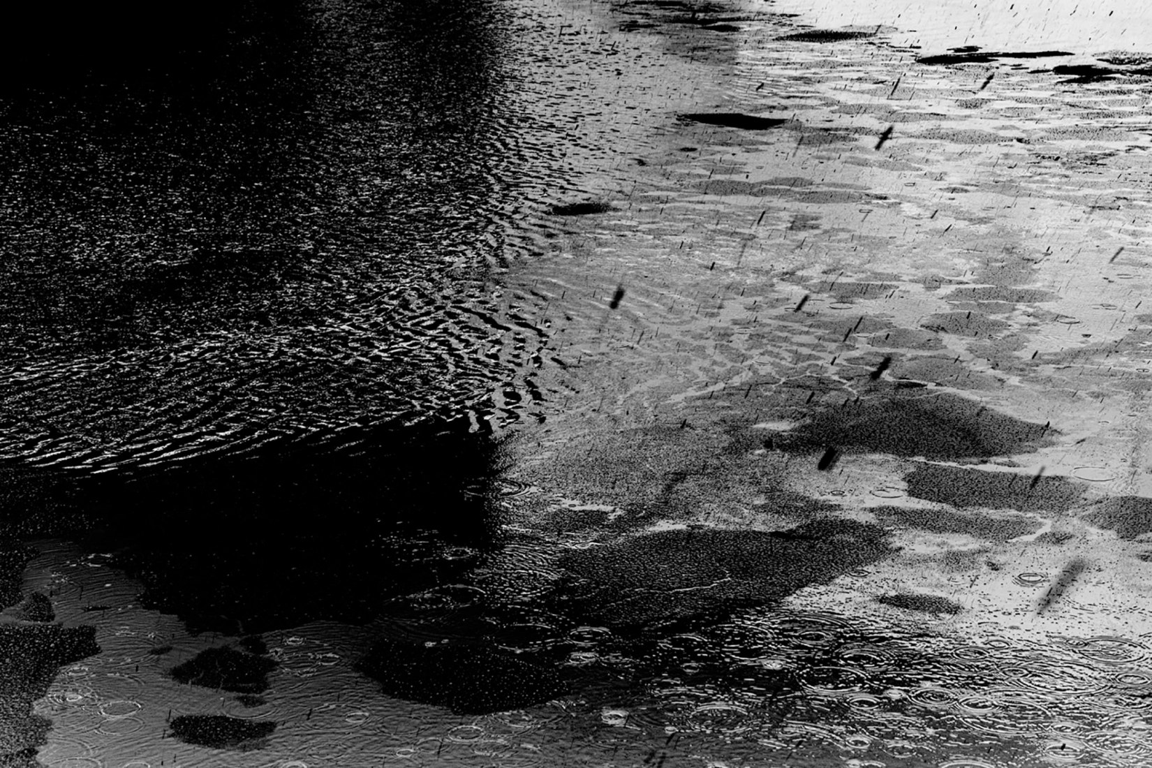 Gowanus por Michael Moran