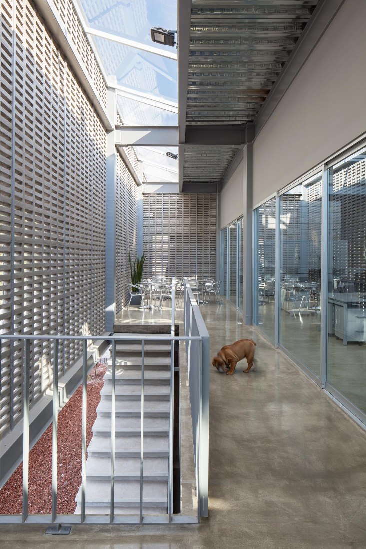 Corporativo Dunza por Morari Arquitectura + JAA. Fotografía por Adrián Llaguno