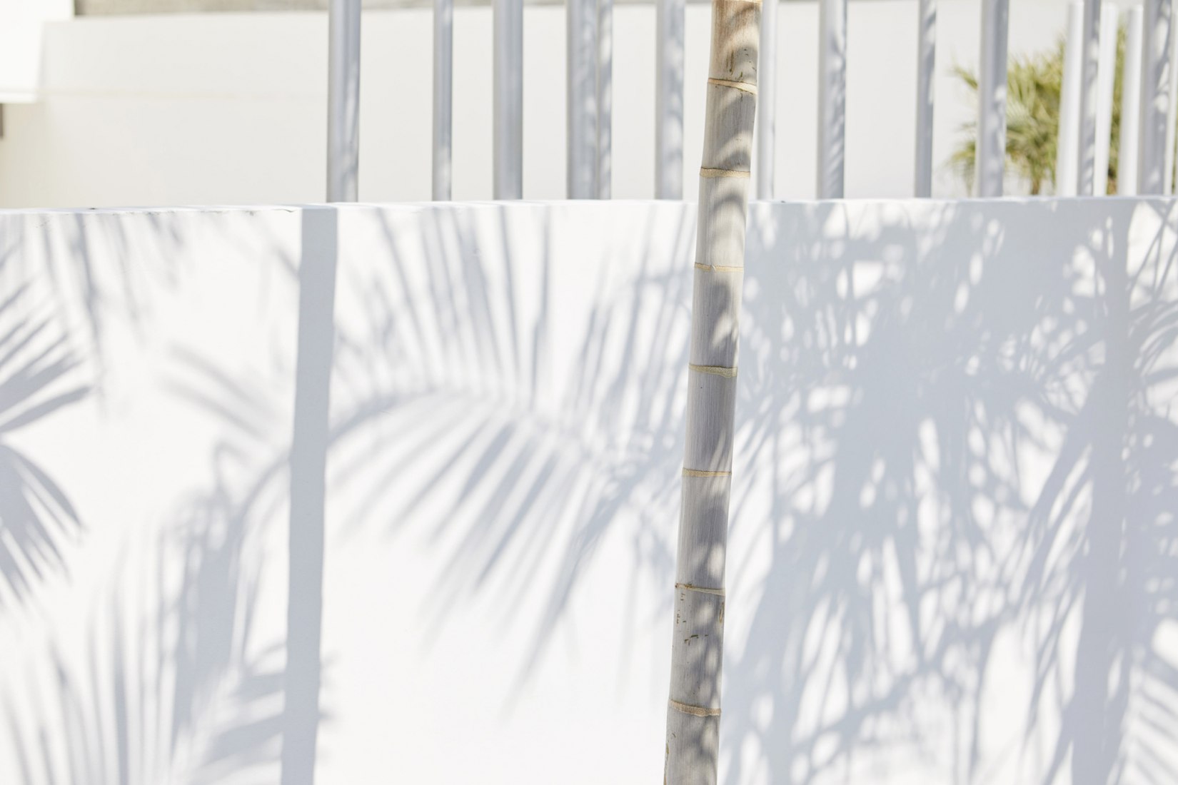 Muraba Residences by RCR Arquitectes. Photograph © Airey Spaces.