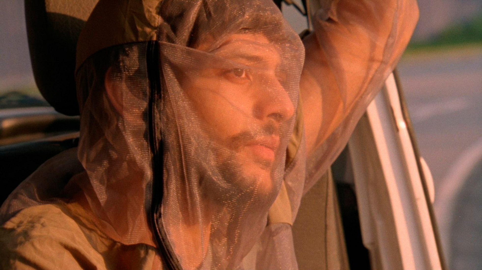 The sting, film, 2019. Image Courtesy by Museo Nacional Reina Sofía 