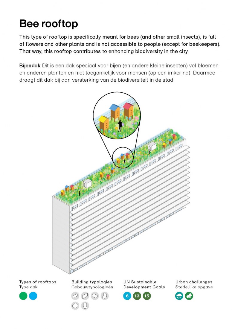 Bee Rooftop. Rotterdam Rooftop Catalogue for Rotterdam Rooftop Days by MVRDV. Courtesy of MVRDV