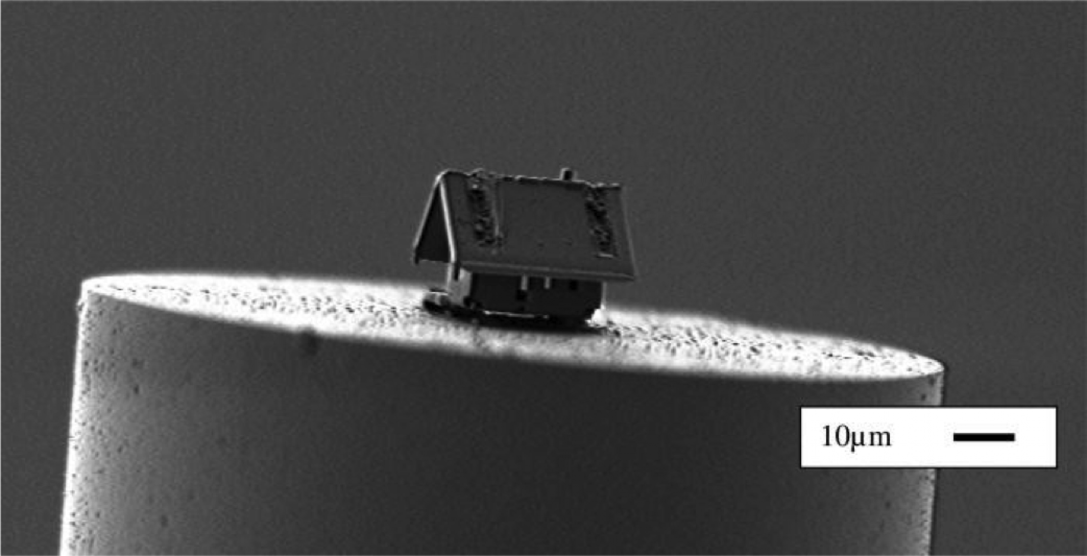 Imagen cortesía de Femto-ST Institute
