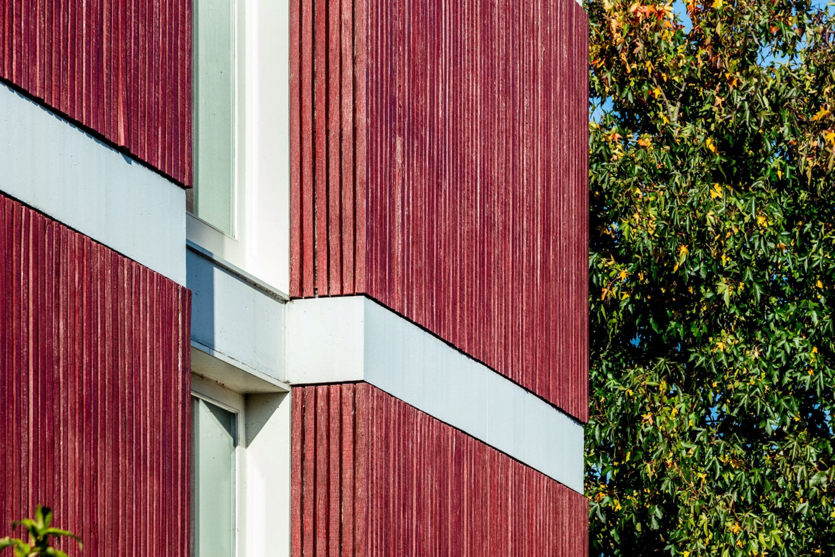 Casa Roja por Nelson Resende. Fotografía por João Morgado, Fotografía de Arquitectura