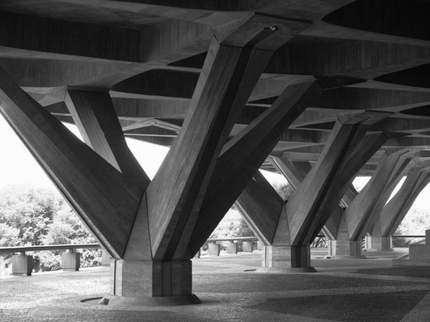 Pier Luigi Nervi, Embajada de Italia, Brasilia, Pilares de la planta baja, 1969. Fotografía de Mario Carrieri, cortesía del Proyecto Pier Luigi Nervi, Bruselas 