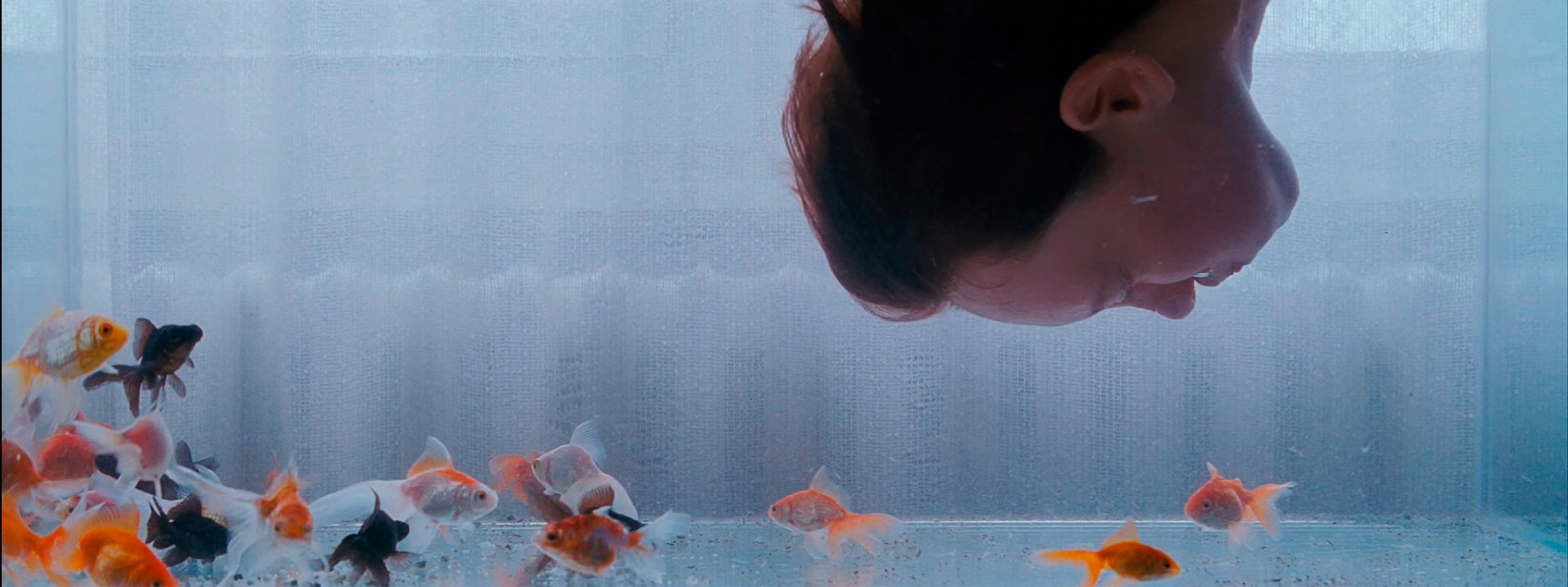 No Hope Generation por Mura Masa