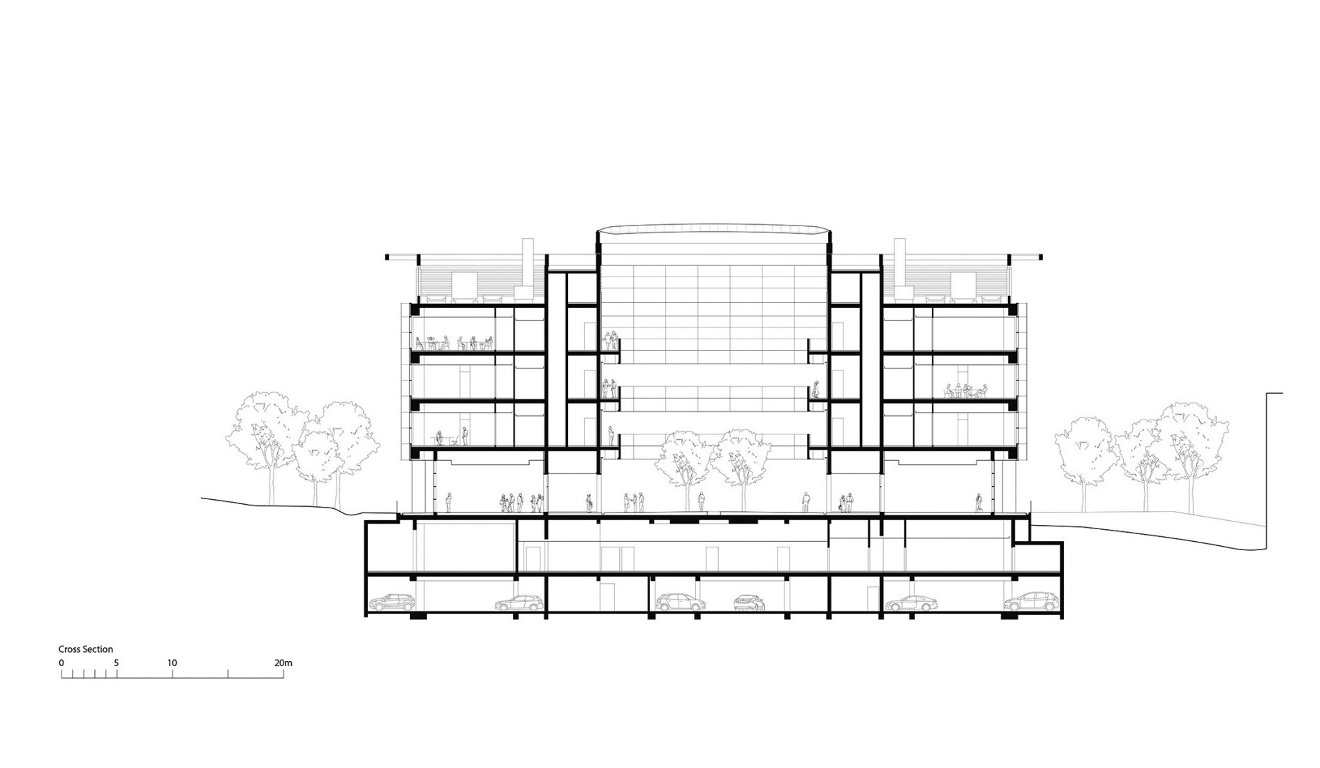 Cross section. Edmond and Lily Safra Center for Brain Sciences by Foster + Partners.
