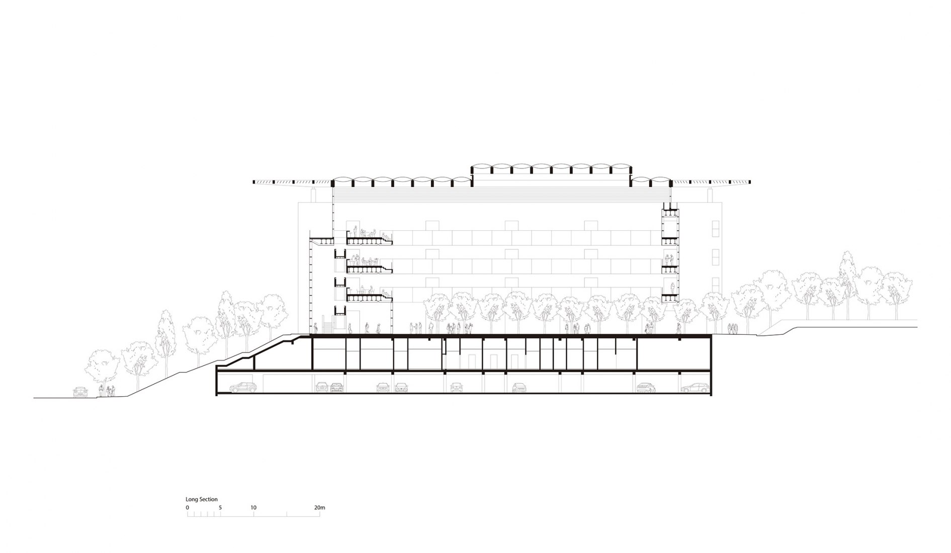 Longitudinal section. Edmond and Lily Safra Center for Brain Sciences by Foster + Partners.