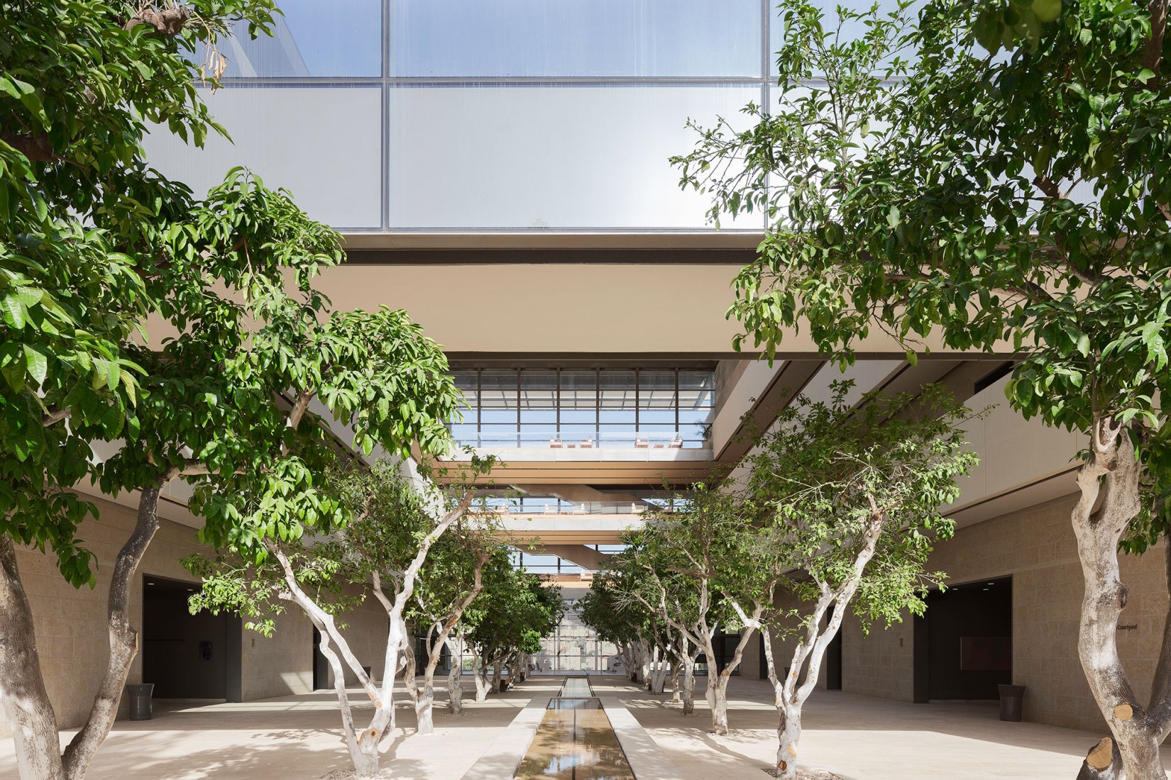 Edmond and Lily Safra Center for Brain Sciences by Foster + Partners. Photograph by Studio Harel Gilboa.