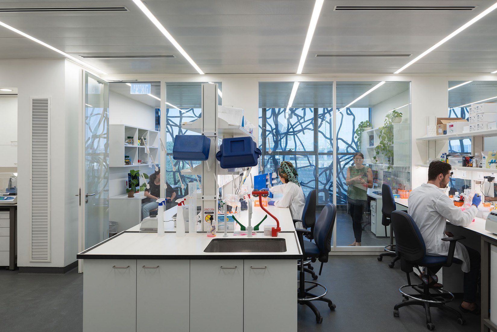 Edmond and Lily Safra Center for Brain Sciences by Foster + Partners. Photograph by Studio Harel Gilboa.