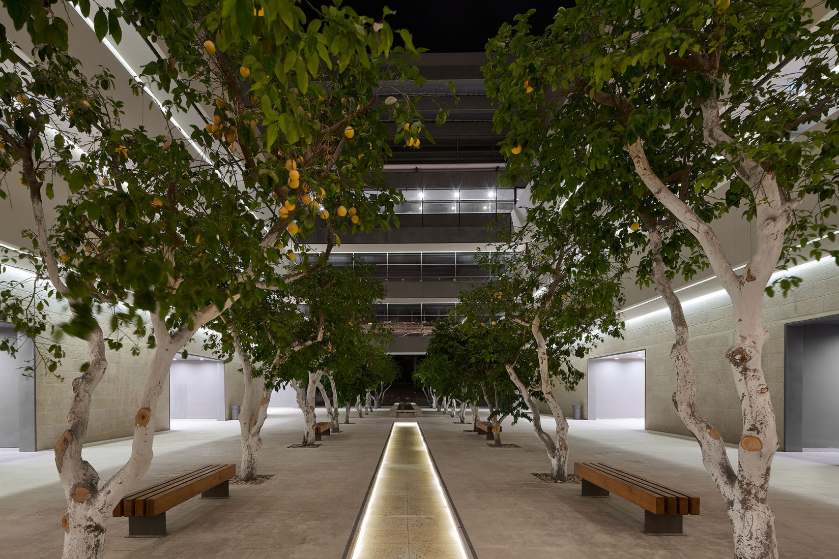 Edmond and Lily Safra Center for Brain Sciences by Foster + Partners. Photograph by Studio Harel Gilboa.