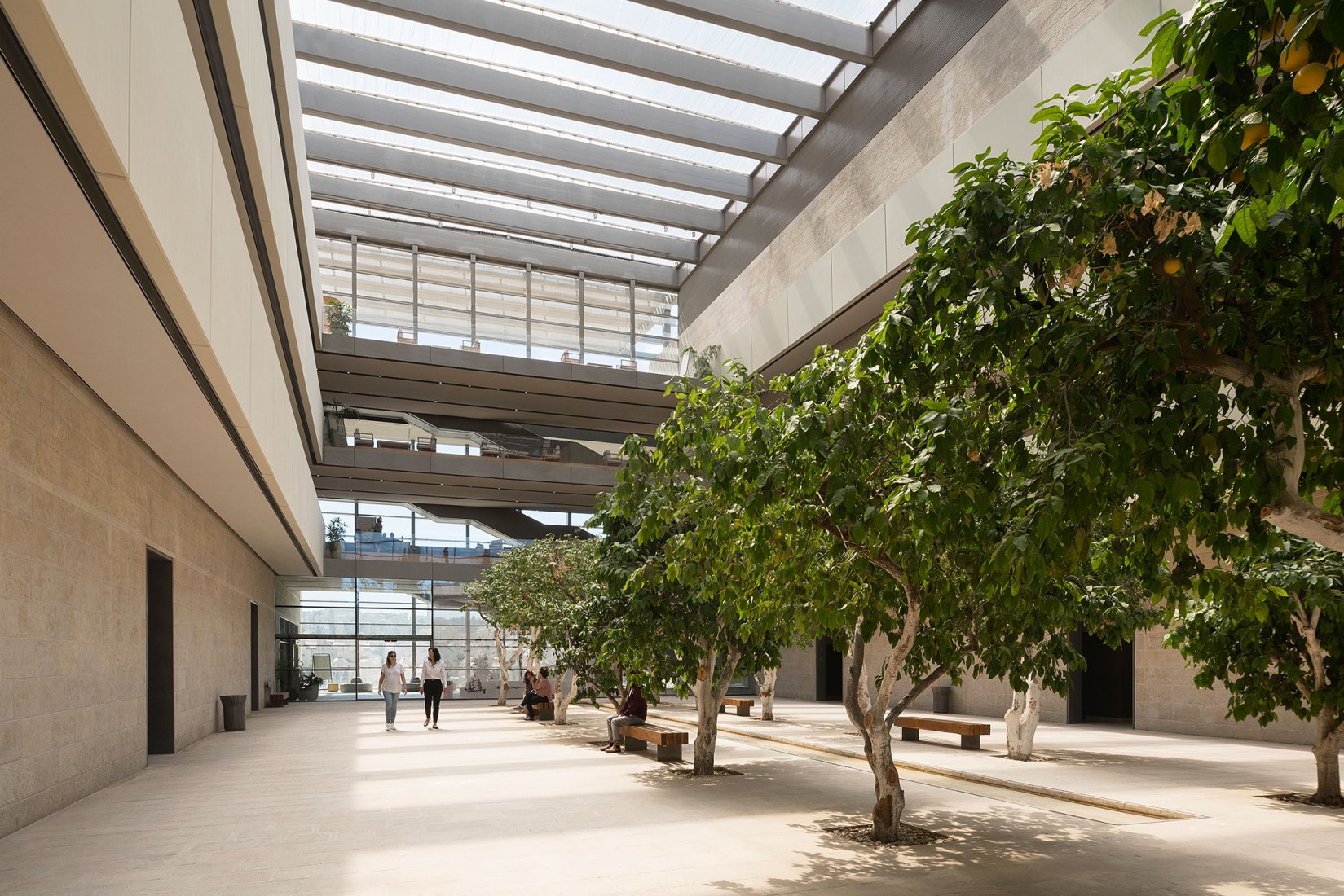 Edmond and Lily Safra Center for Brain Sciences by Foster + Partners. Photograph by Studio Harel Gilboa.