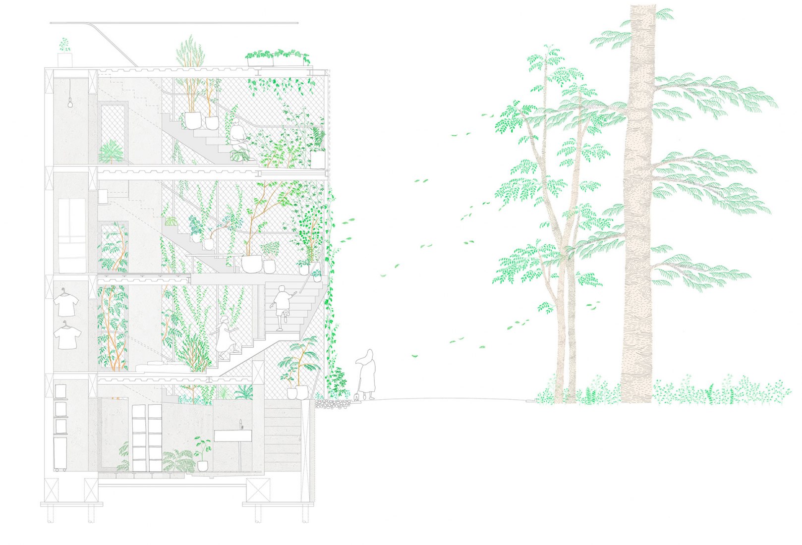 Section. Weather House by not architects studio.