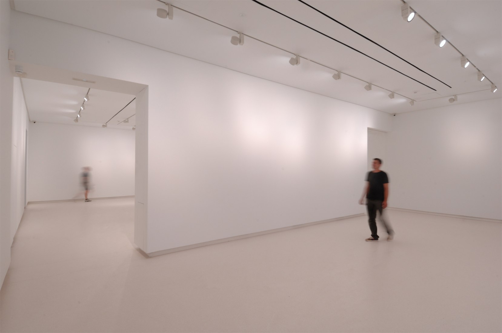 New space for the Elvira González Gallery by Marcos Corrales Lantero. Interior image. Photograph © Cuauhtli Gutiérrez.