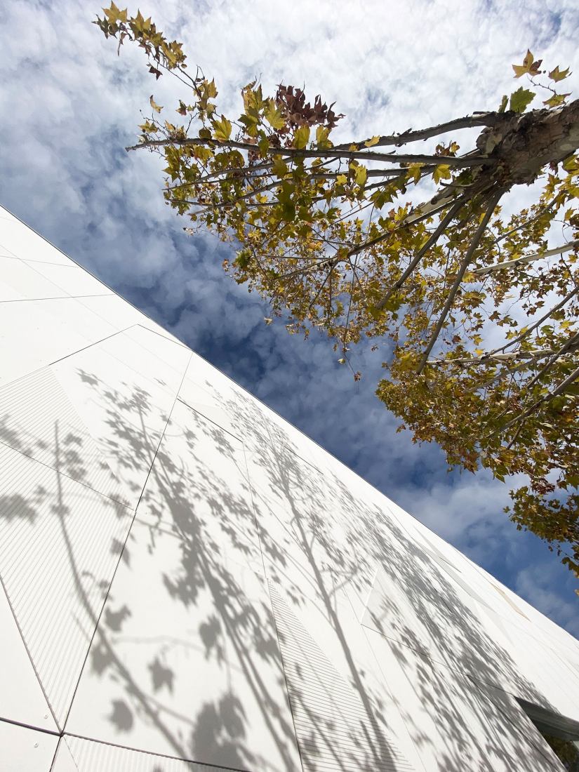 Pabellón polideportivo por OAOB Arquitectura. Fotografía por Alberto Amores.