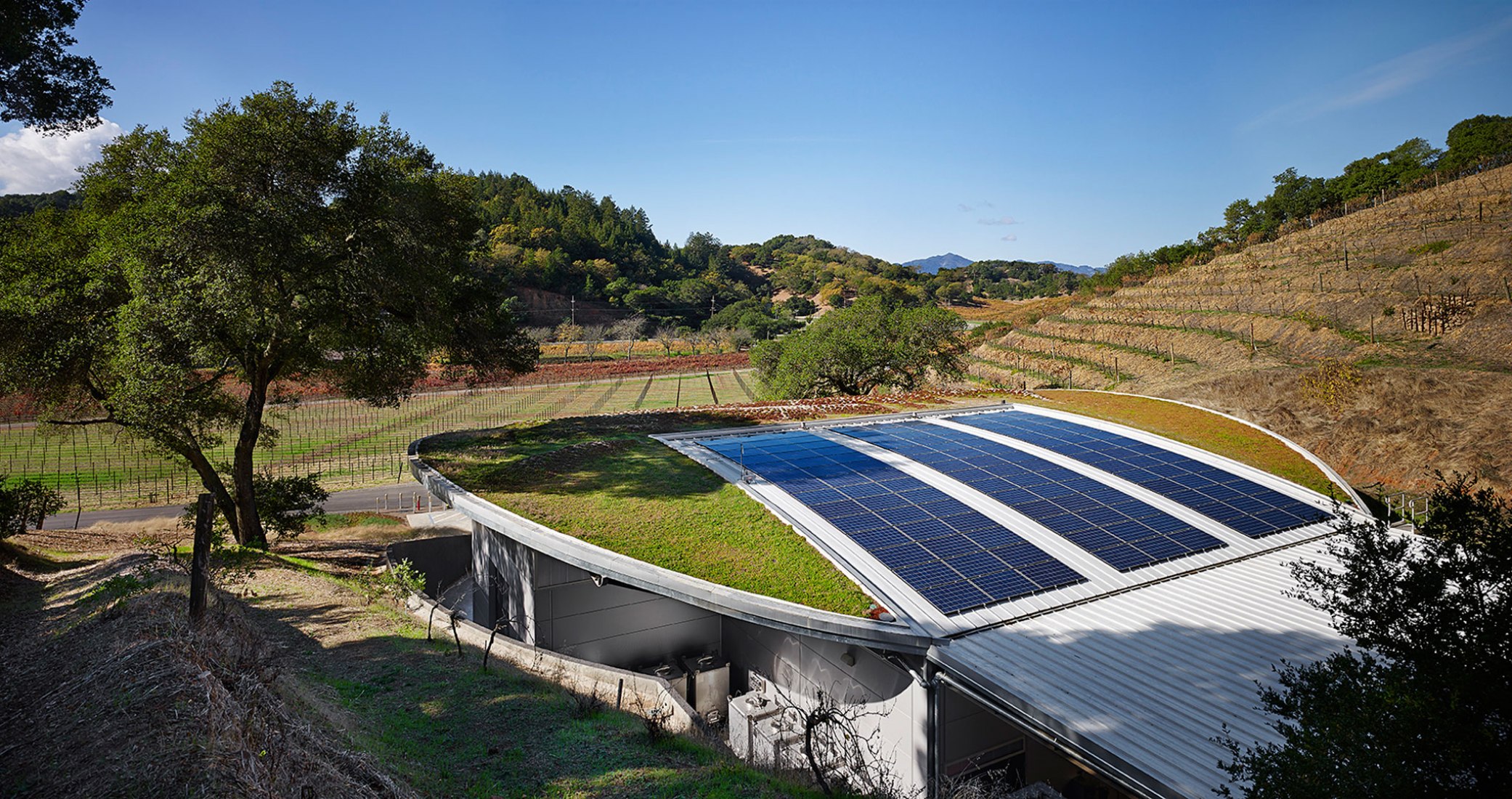 Bodega Odette Estate por Signum Architecture LLP. Fotografía © Adrian Gregorutti