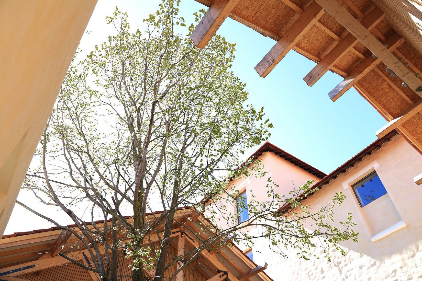 Nuevas instalaciones de Real Vinícola por Guilherme Machado Vaz. Imagen cortesía de © Casa da Arquitectura