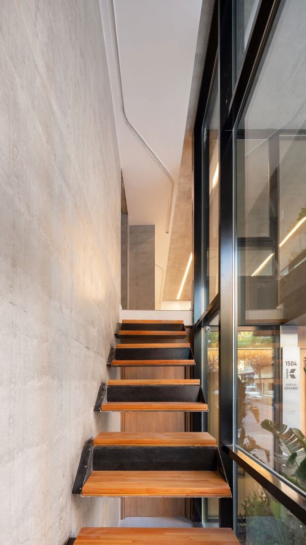 ORGANIC por Brigati Polak Arquitectos. Fotografía por Ramiro Sosa.