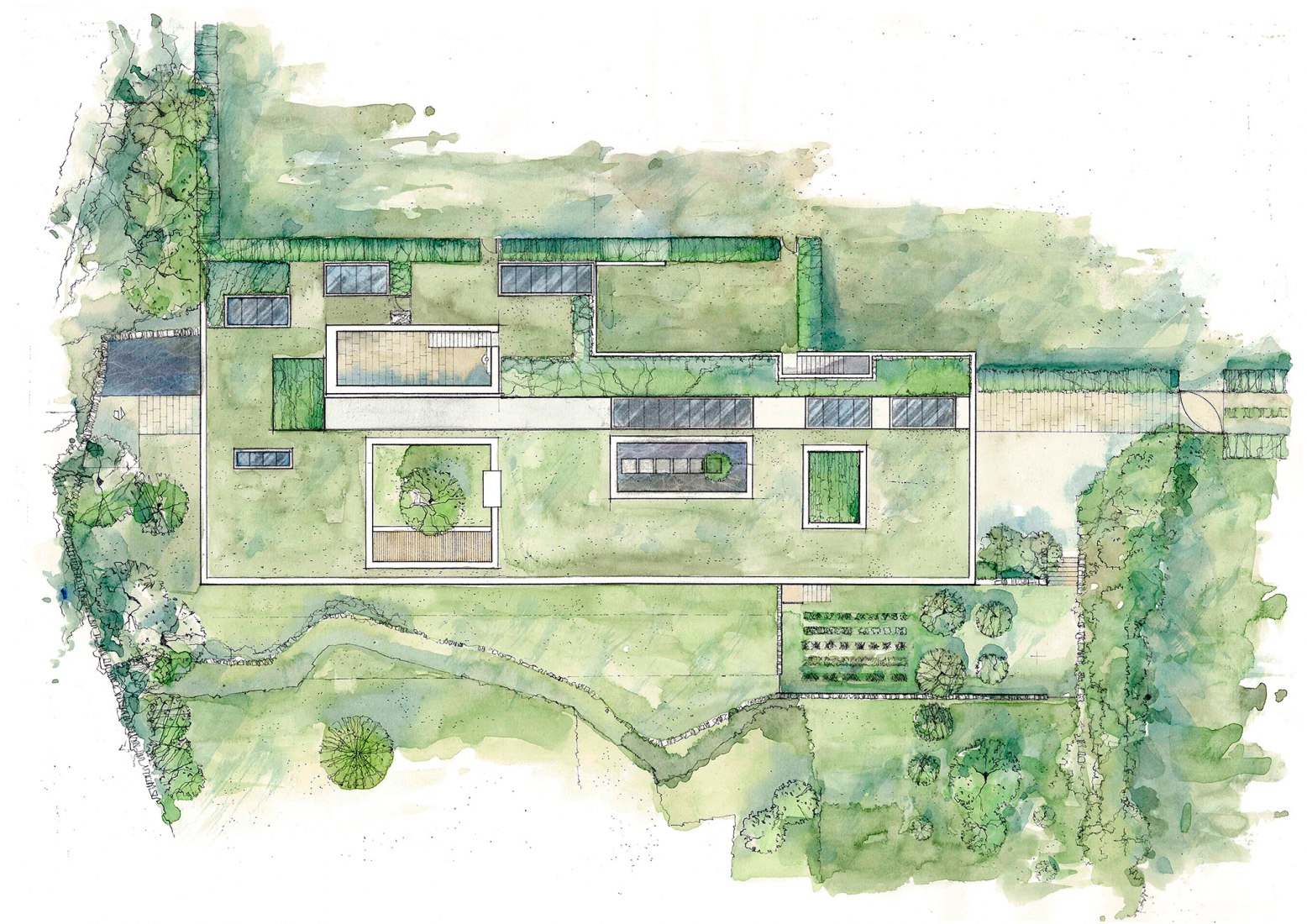 Coloured roof-site plan. Image © courtesy of Loyn + Co Architects.