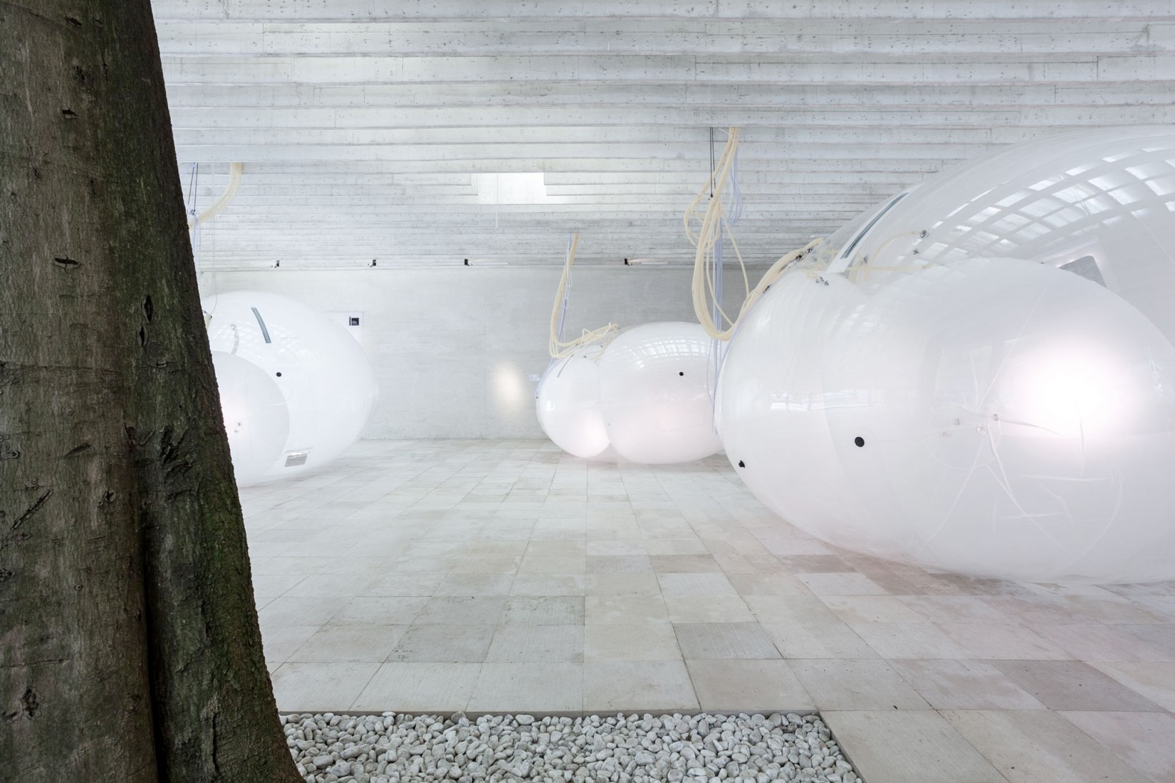 Another Generosity. Nordic Pavilion by Eero Lundén. Photograph by Andrea Ferro
