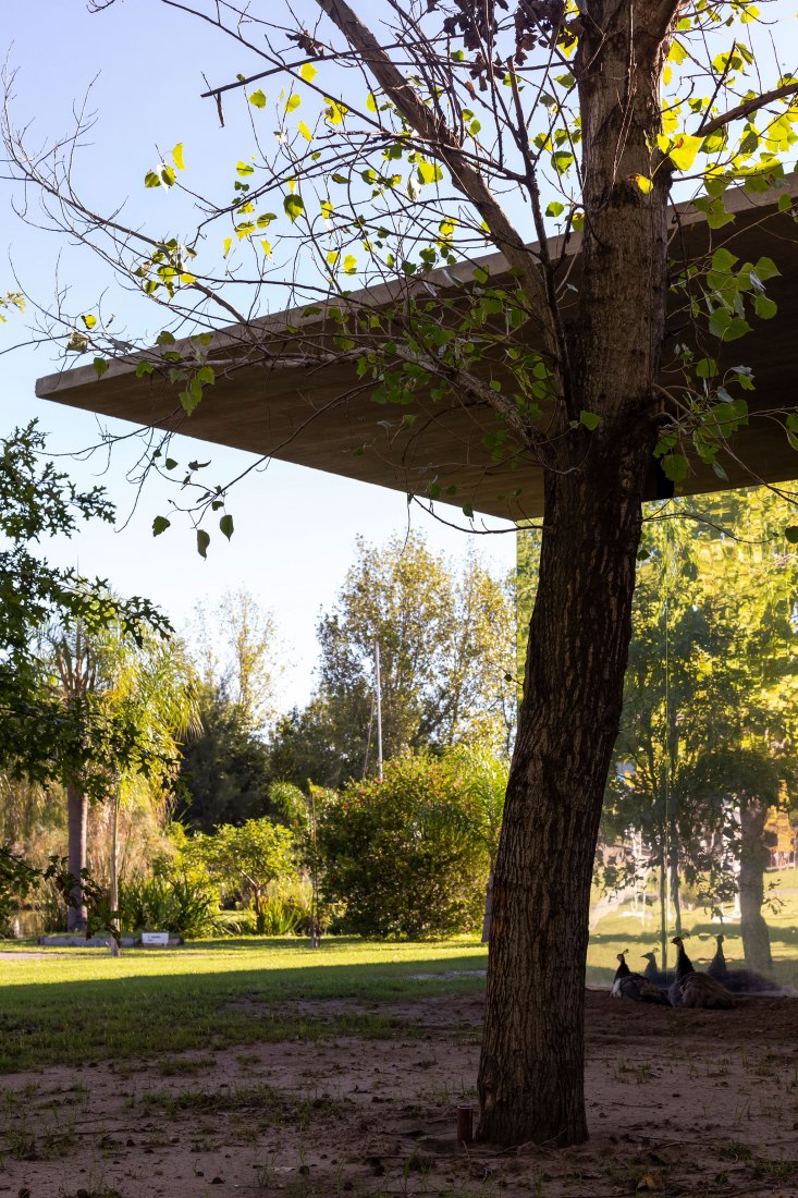 La Nave Pavilion by Estudio Pablo Gagliardo. Photograph by Ramiro Sosa.