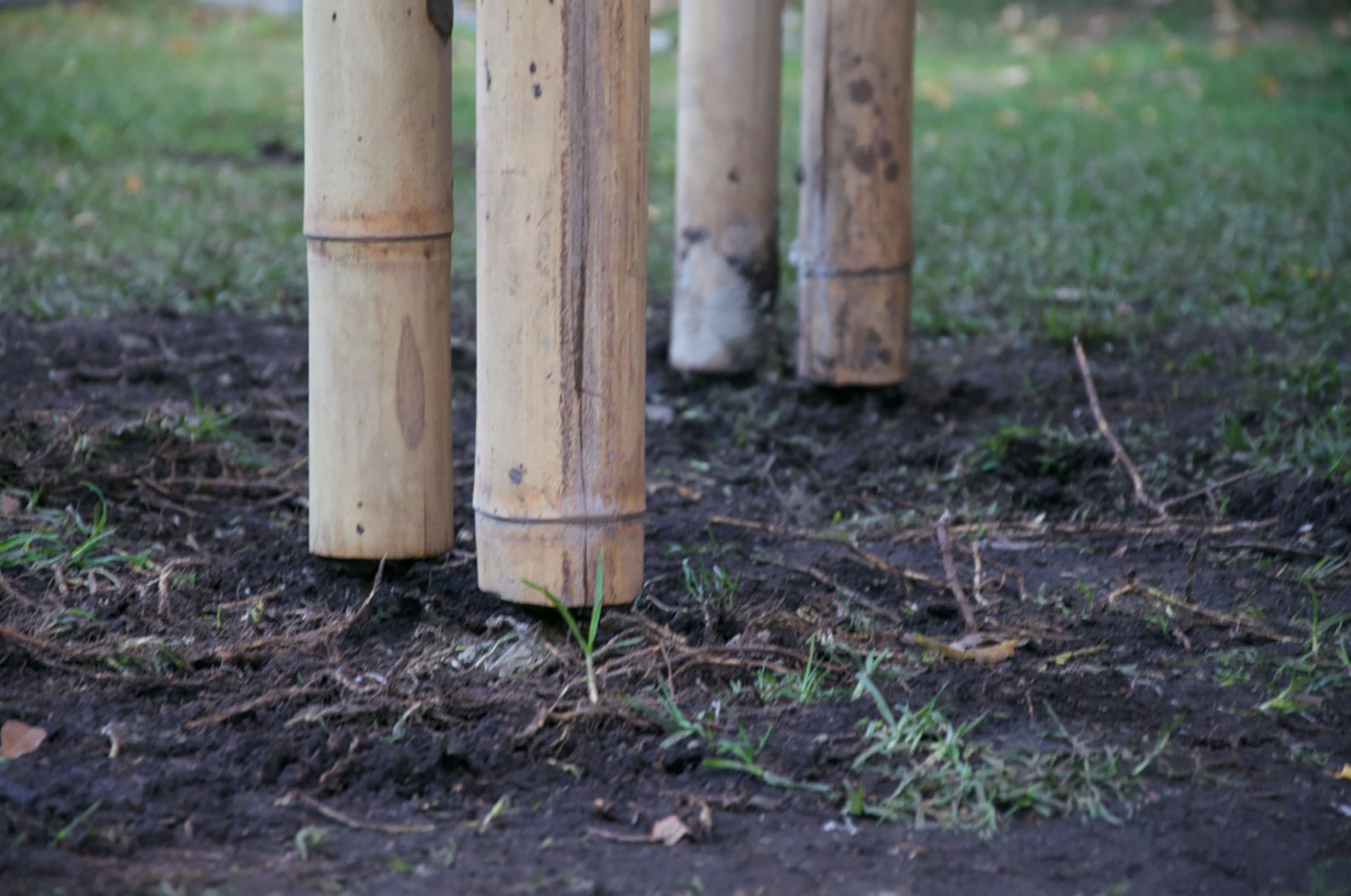 Urban Apiary by Palafito Arquitectura. Photograph courtesy of Palafito Arquitectura.