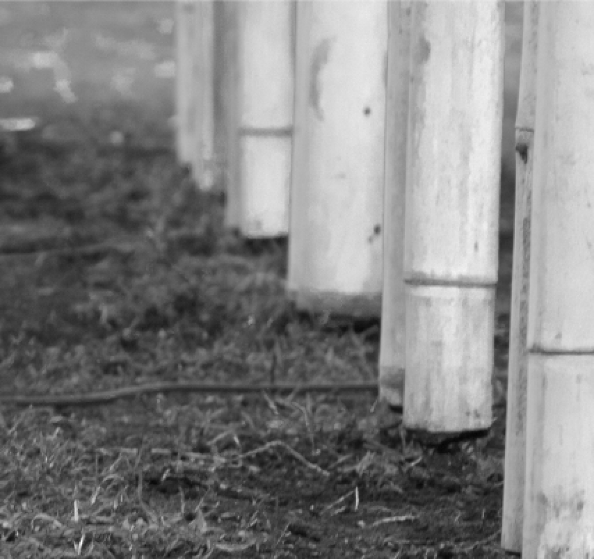 Construction. Urban Apiary by Palafito Arquitectura.