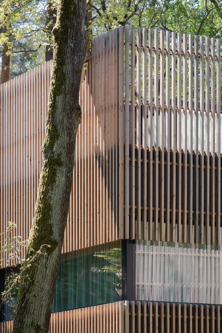 Pasaku st. houses by Paleko architektų studija. Photograph by Norbertas Tukaj.