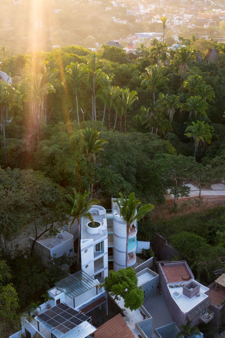 Chiripa by Palma. Photograph by Luis Young.