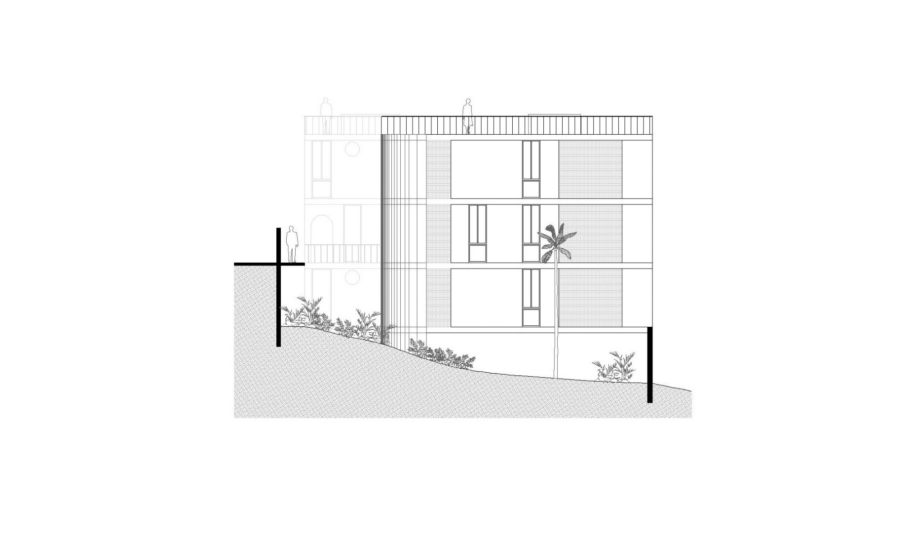 Section. Chiripa by Palma. 