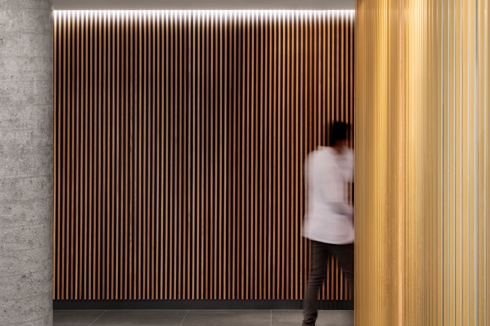 Panorama building by ACDF Architecture. Photograph by Adrien Williams