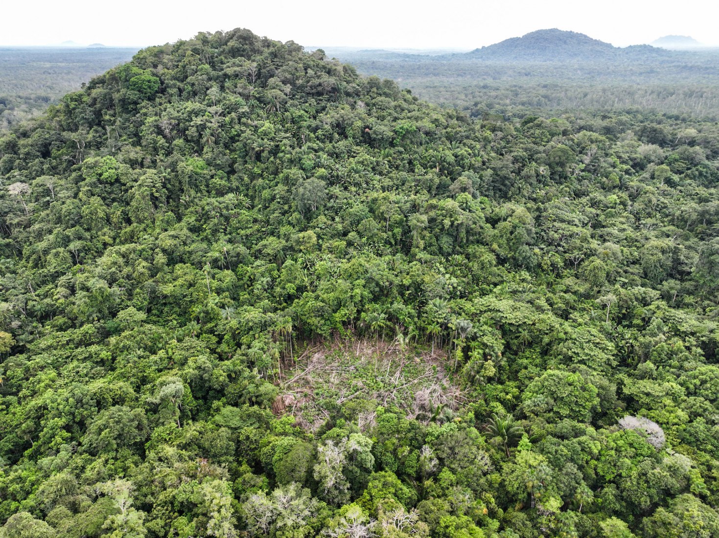 Plantación indígena a orillas del río Uaupés, Alto Río Negro, Amazonas, 2022. Fotografía por Fellipe Abreu