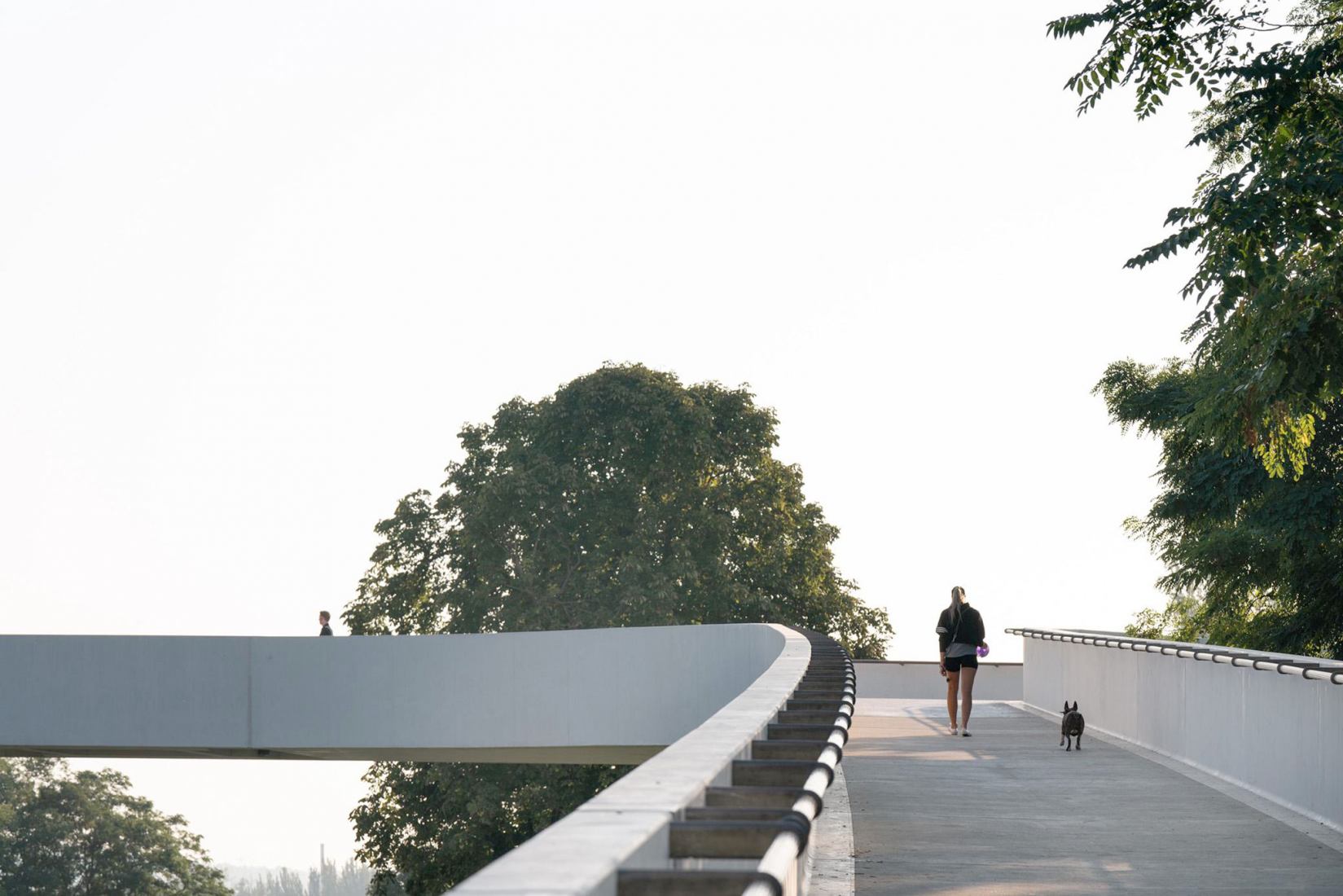 Štvanice Footbridge by Atelier Bridge Structures + Blank architekti. Photograph by Alex Shoots Buildings