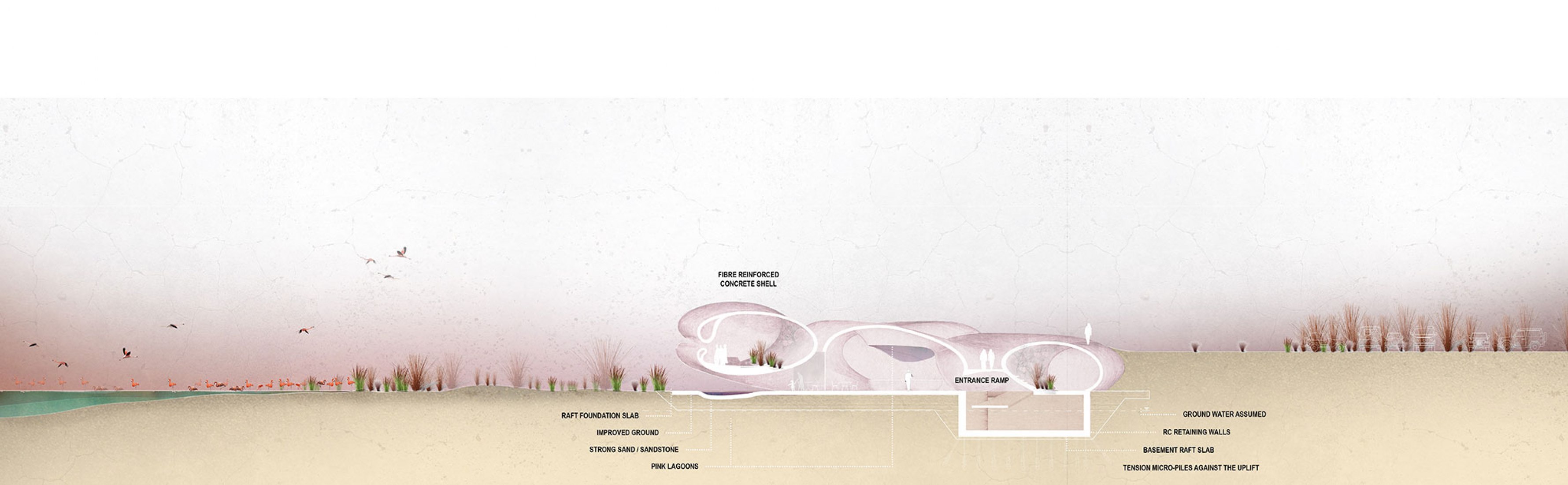 Sección. Centro de visitantes de Flamingos de Abu Dhabi por Petr Janda.