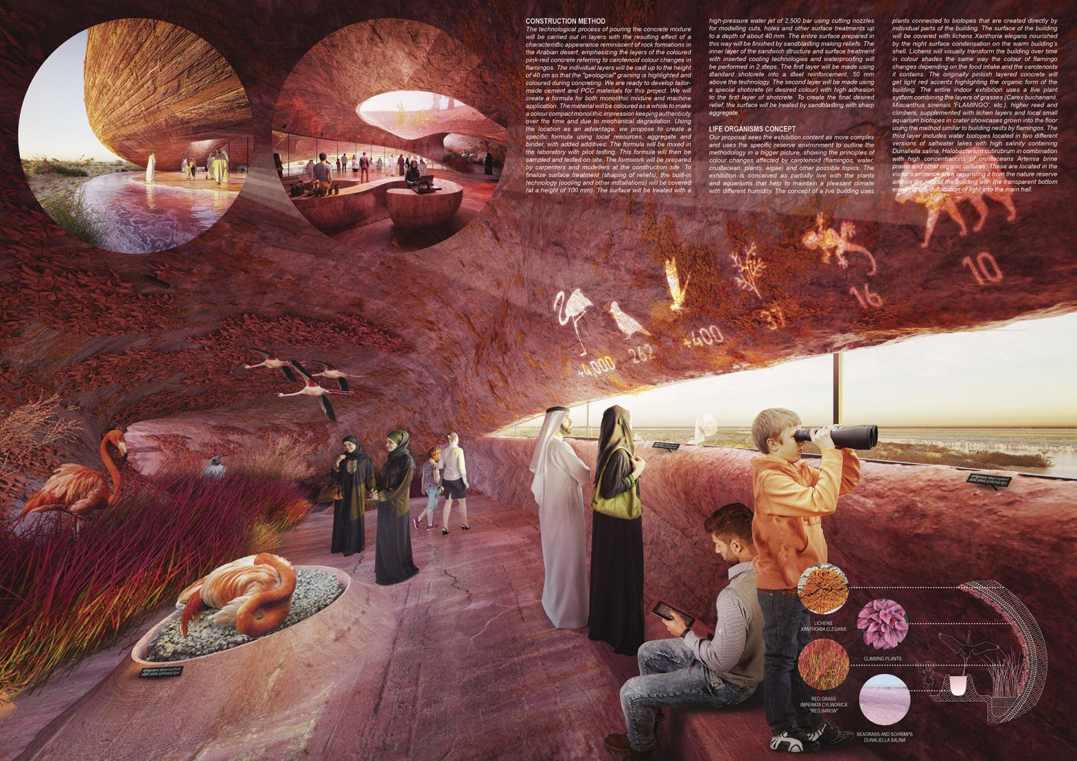 Composición de paneles. Centro de visitantes de Flamingos de Abu Dhabi por Petr Janda.