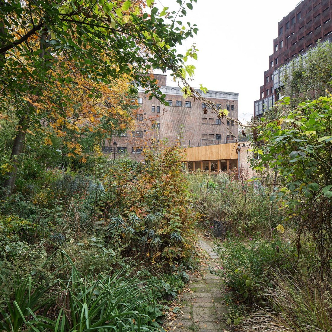 Edificio Comunitario de Phoenix Garden por Office Sian Architecture + Design. Fotografía © Richard Chivers