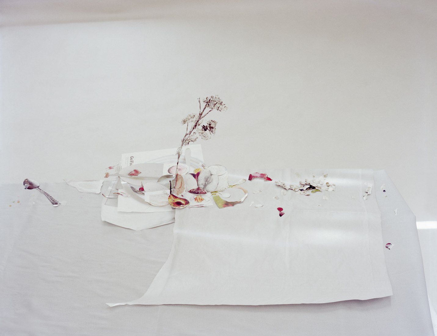 Laura Letinksy, Untitled #49 (from the series Ill Form and Void Full) 2013 © Laura Letinsky.