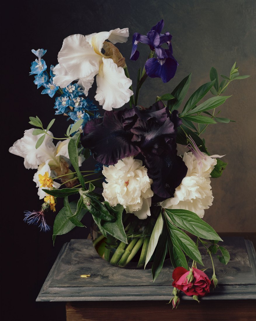 Sharon Core, 1870 (from the series 1606‐1907) 2011 © Sharon Core.